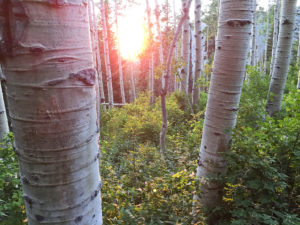 Sunset in Mill Creek Canyon on the Great Western Trail.