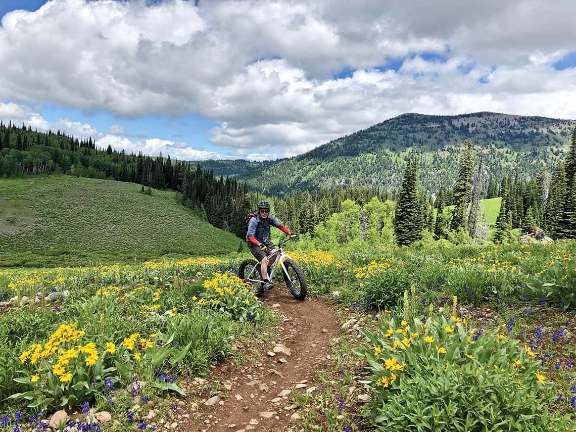 fluid grizzly fat bike