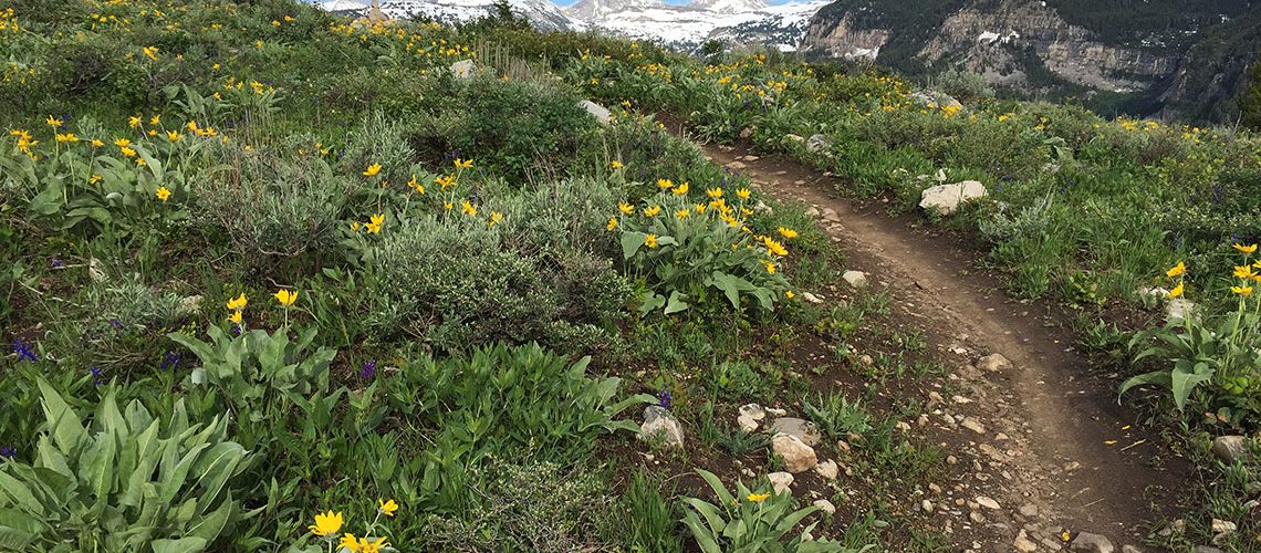 Photo of the Teton Mountains from the Mill Creek trail