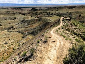 Photo of Joe's Ridge Trail, in the 18 Road trail network of Fruita, COlorado